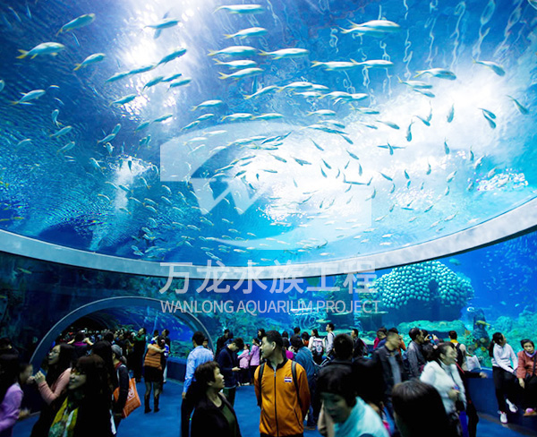 大型水族工程如何進(jìn)行節(jié)能設(shè)計？