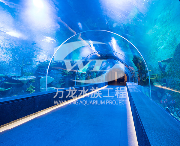 海洋館的設(shè)計理念是什么？