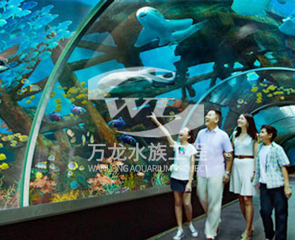 海洋館如何進(jìn)行安全設(shè)計和施工？