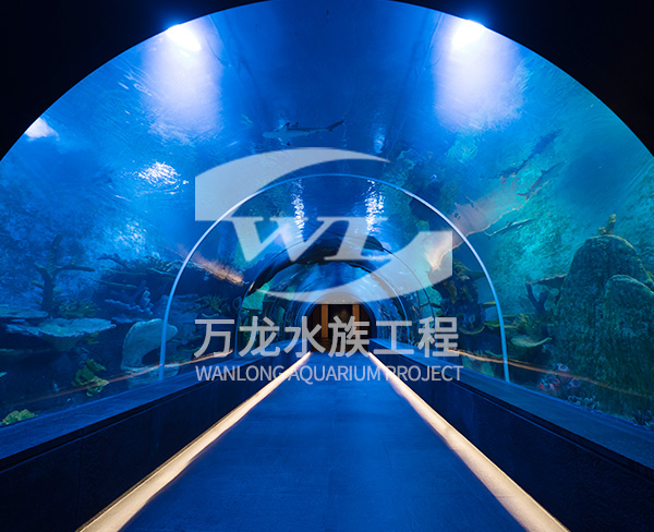 辦公室魚(yú)缸爆裂是什么問(wèn)題呢？    