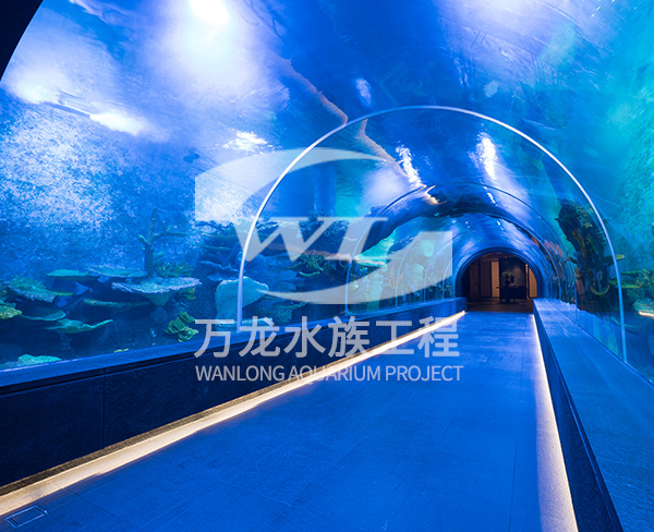大型海洋主題公園如何構(gòu)建景觀和布局？