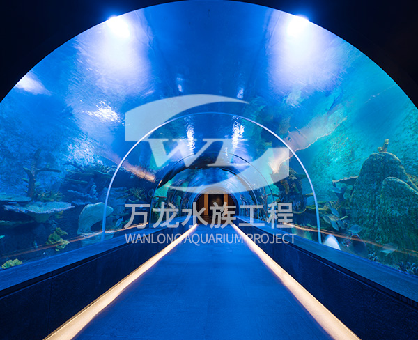 大型水族工程如何設(shè)計(jì)水循環(huán)系統(tǒng)？