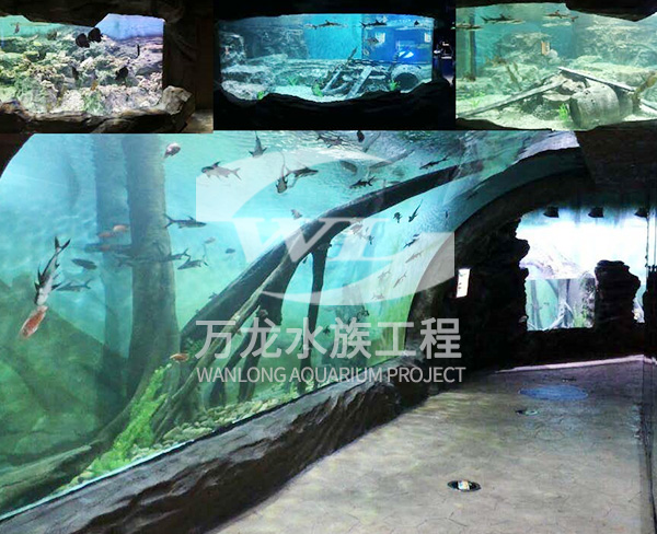 水族工程的工作原理是什么？