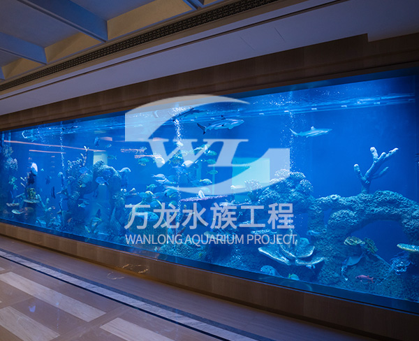 杭州九溪玫瑰園亞克力魚(yú)缸