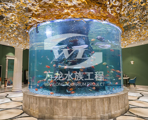六安澳門豆撈圓柱亞克力魚缸