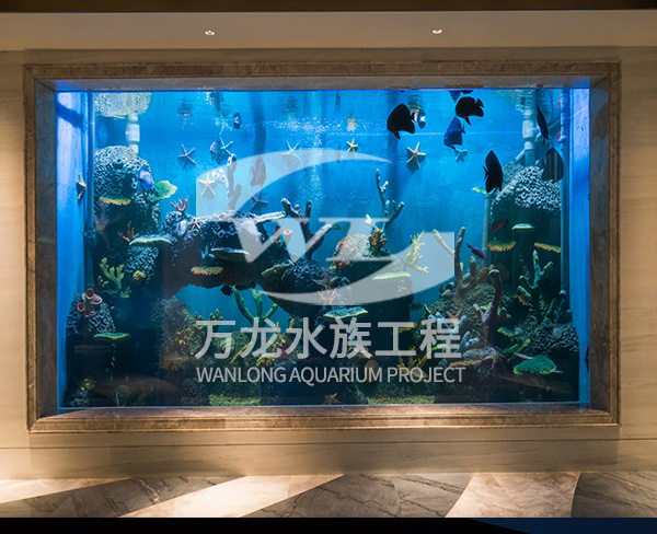 諸暨御江灣地下室亞克力魚缸