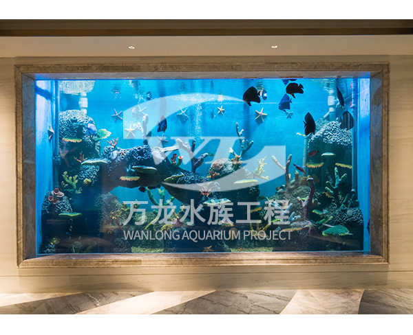 大型亞克力魚缸