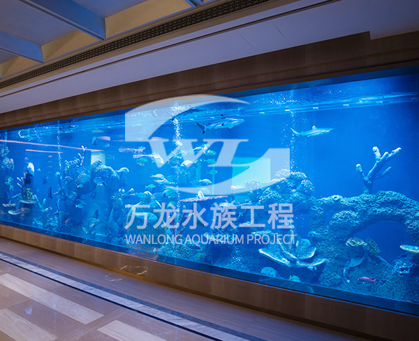 大型亞克力魚缸