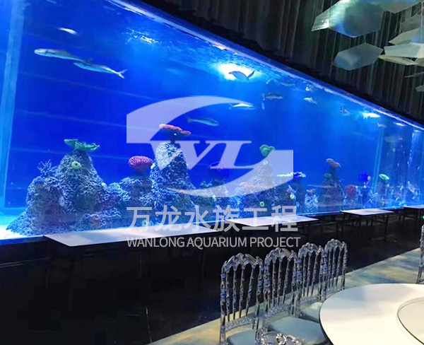 大型亞克力魚缸