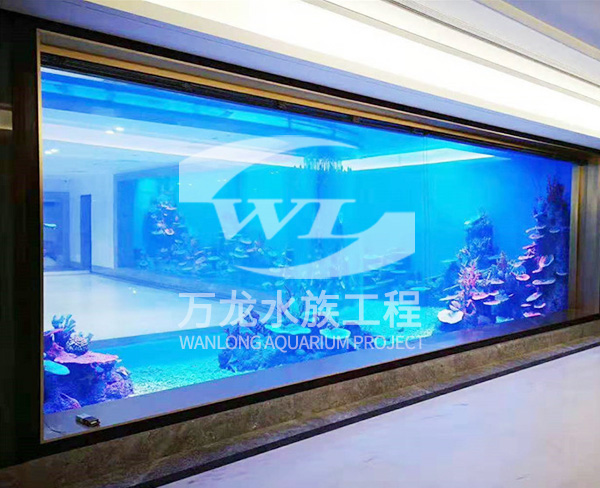 大型亞克力魚缸