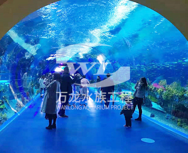 大型亞克力魚缸