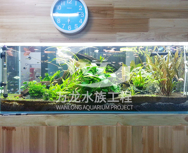 負壓魚缸