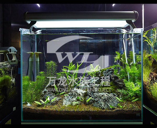 負壓魚缸
