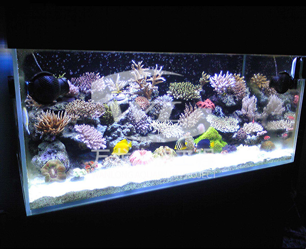 負壓魚缸
