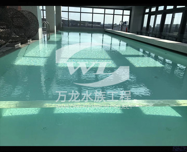 無邊際（界）泳池