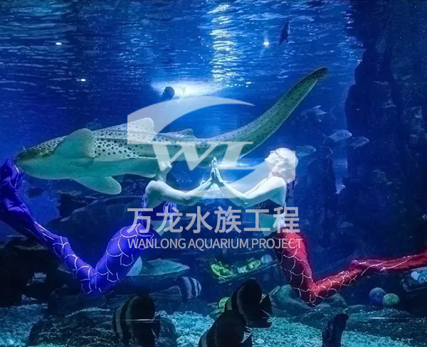 大型海洋主題公園