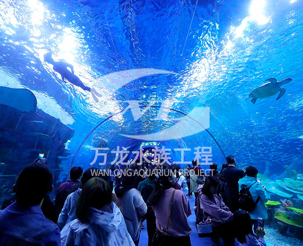 大型海洋主題公園