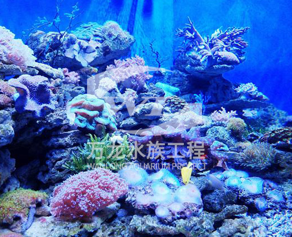 海底景觀設(shè)計(jì)