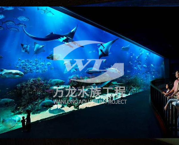 海底景觀設(shè)計(jì)