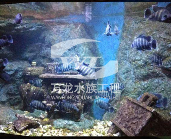 海底景觀設(shè)計(jì)