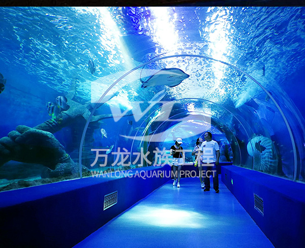海底景觀設(shè)計(jì)