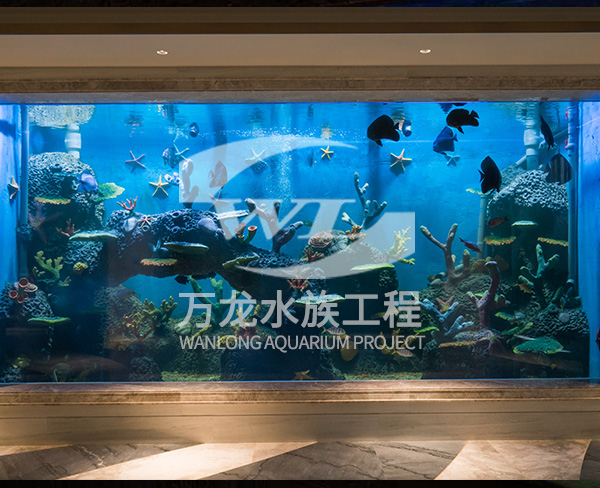 海底景觀設(shè)計(jì)