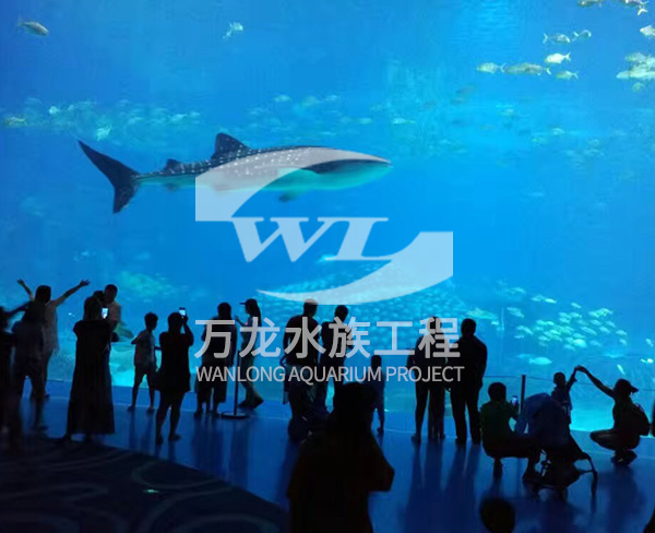 負壓魚缸的維護操作是什么