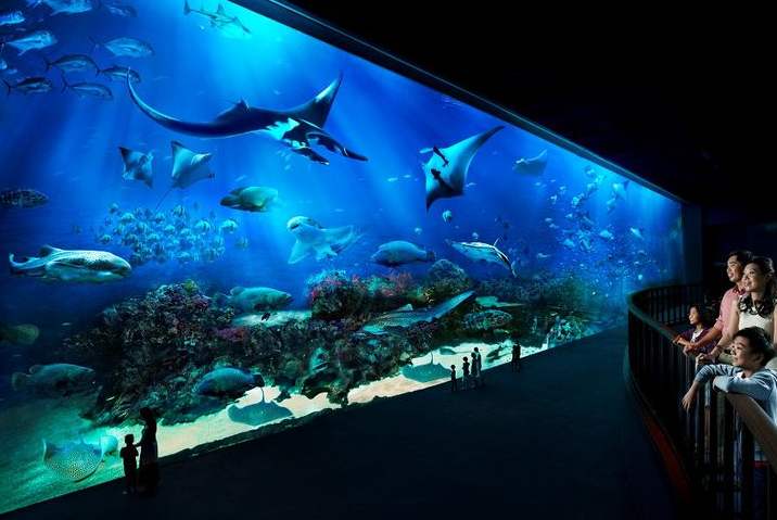 釣蝦魚缸為什么有異味