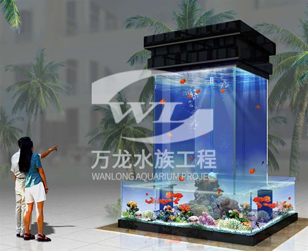 負(fù)壓魚缸