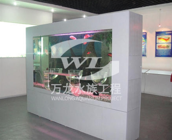 負(fù)壓魚缸