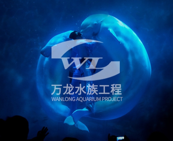 大型海洋主題公園