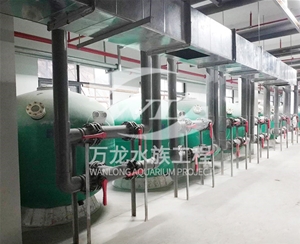 家庭魚缸日常維護(hù)方法