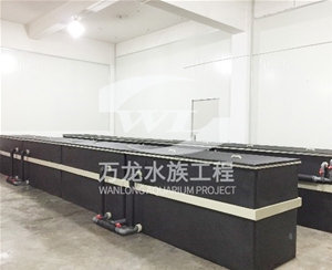 如何辨別大型魚缸的材質(zhì)？