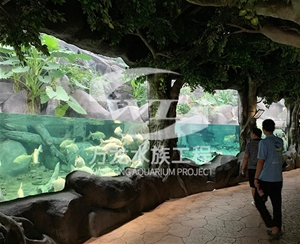 如何辨別喂奶魚魚缸的材質(zhì)？