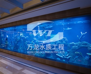 如何辨別亞克力觀賞魚缸的材質(zhì)？