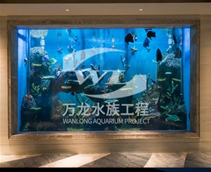 三步制作大型魚缸