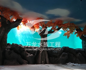 釣蝦魚缸玻璃的功能