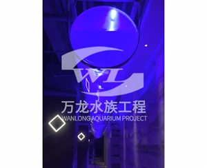 表演魚缸的維護操作是什么