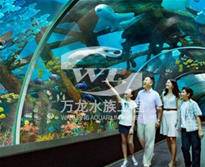 大型魚缸缸體表面發(fā)黃怎么解決