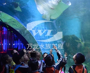 商業(yè)綜合體海洋館