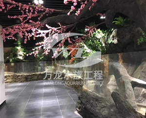 萌寵樂(lè)園