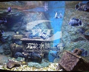 如何清理辦公室魚(yú)缸
