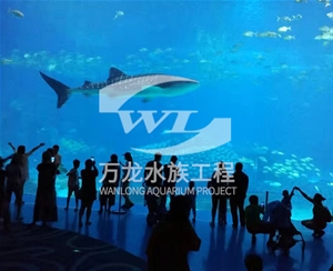 海洋館