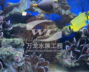 海底景觀(guān)設(shè)計(jì)