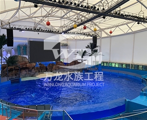 大型魚缸的維護(hù)操作是什么