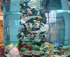 錦鯉魚缸日常維護方法