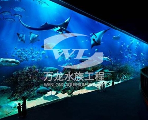 亞克力魚缸的過濾器使用特點